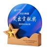 Solid wood crystal trophies, creative MEDALS, awards for outstanding employees, engraving, factory direct sales, sunflower and star anise souvenirs Item Picture